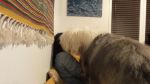 DSC00833.JPG