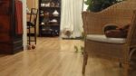 DSC00842.JPG