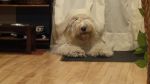 DSC00843.JPG