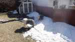 DSC00850.JPG