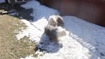 DSC00851.JPG