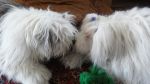DSC00882.JPG