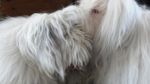 DSC00885.JPG