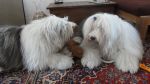 DSC00918.JPG