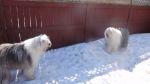 DSC00925.JPG