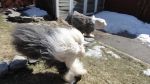DSC00929.JPG