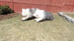 DSC00930.JPG