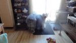 DSC00937.JPG