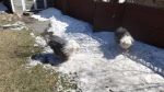 DSC00938.JPG