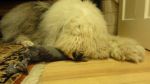 DSC00969.JPG