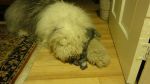 DSC00970.JPG