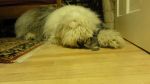 DSC00971.JPG