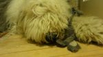 DSC00972.JPG