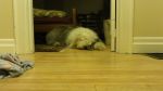 DSC00973.JPG