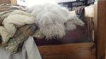 DSC00975.JPG