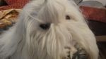 DSC01043.JPG