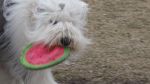 DSC01047.JPG