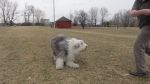 DSC01050.JPG