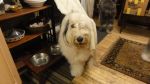 DSC01210.JPG