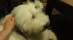 DSC01218.JPG