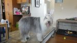DSC01339.JPG