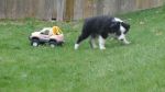 DSC01372.JPG