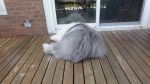 DSC01487.JPG