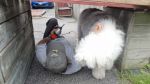 DSC02026.JPG