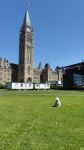 DSC02043.JPG