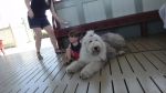 DSC02054.JPG