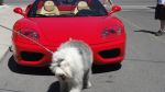 DSC02077.JPG