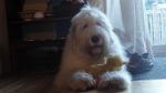 DSC02143.JPG