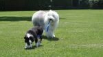 DSC02186.JPG