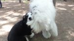 DSC02250.JPG