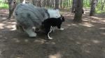 DSC02252.JPG