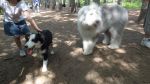 DSC02253.JPG