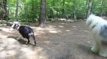 DSC02256.JPG