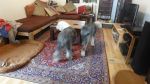 DSC02455.JPG