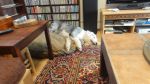DSC02469.JPG