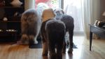 DSC02470.JPG