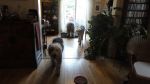 DSC02474.JPG