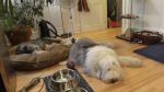 DSC02483.JPG