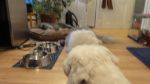 DSC02485.JPG