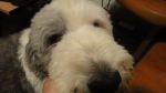 DSC02528.JPG