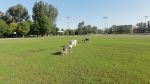 DSC02549.JPG