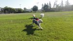 DSC02556.JPG