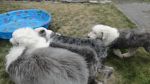 DSC02562.JPG