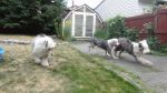 DSC02564.JPG
