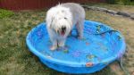 DSC02576.JPG