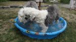 DSC02586.JPG